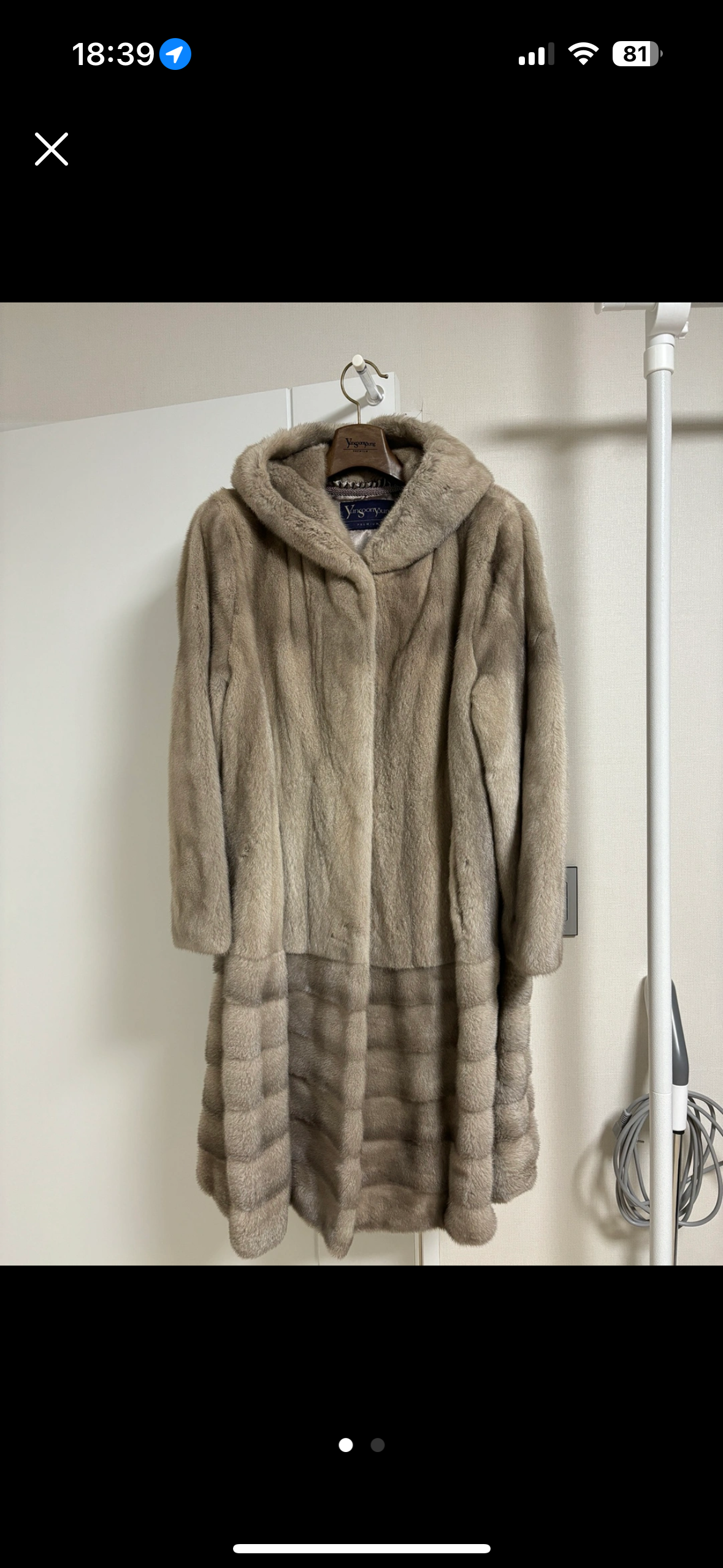 블루 아이리쉬 밍크