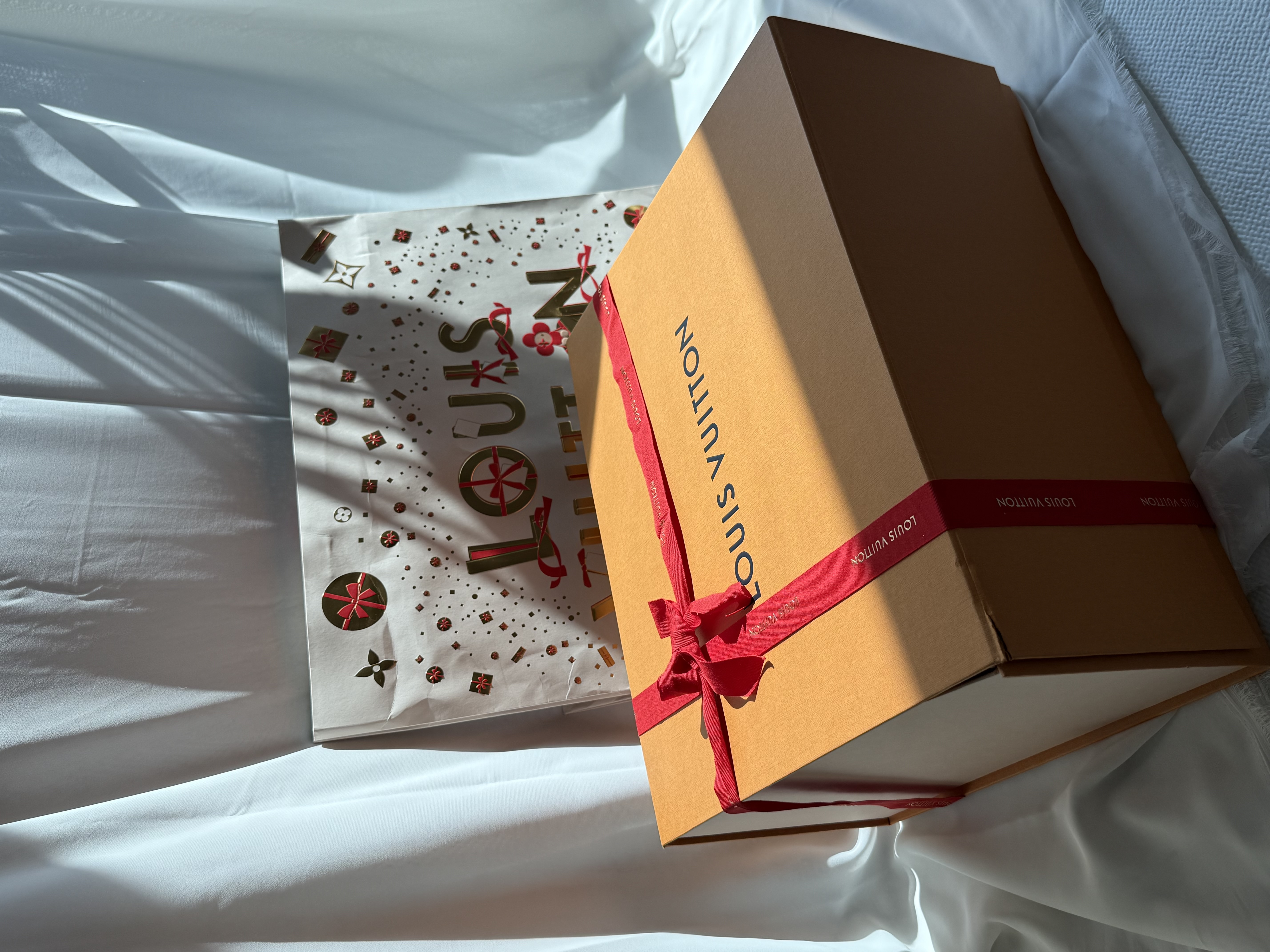 루이비통 쁘띠드 빨레