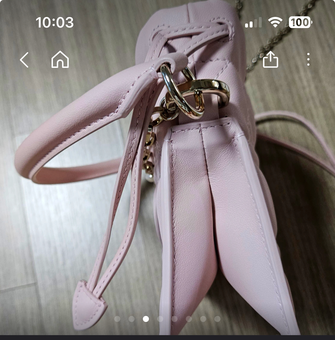 디올 밀리 미니백