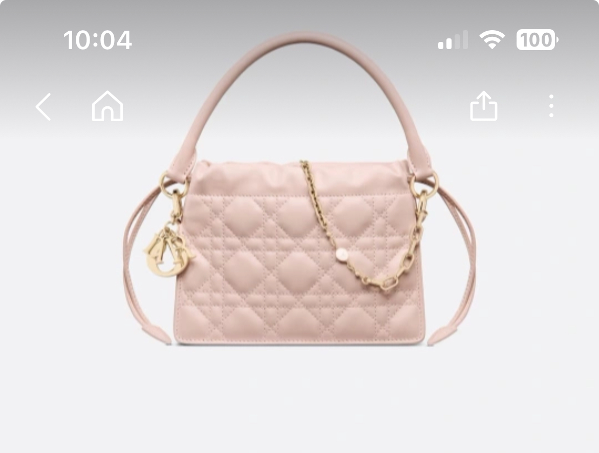 디올 밀리 미니백