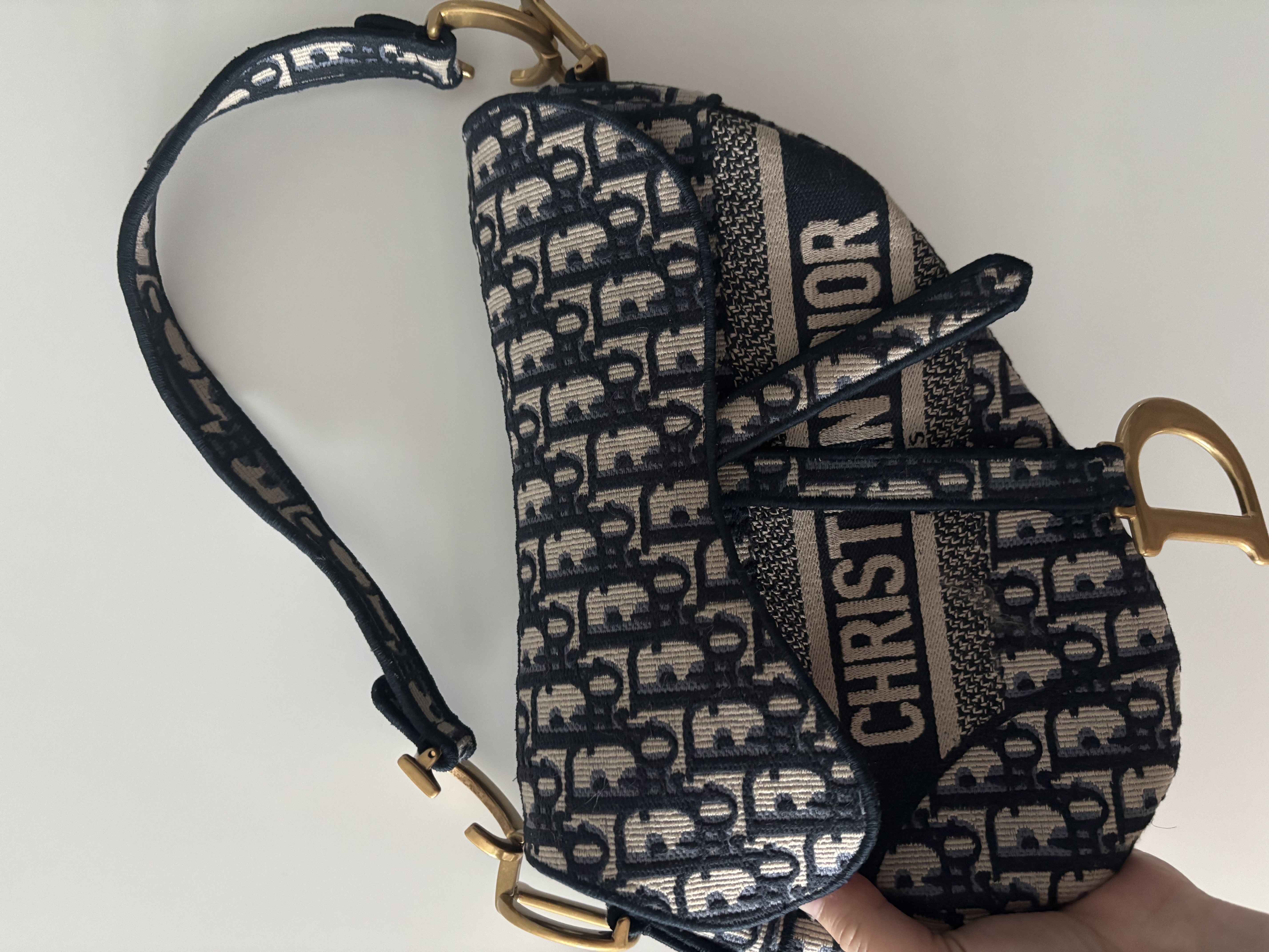 디올 오블리크 새들백