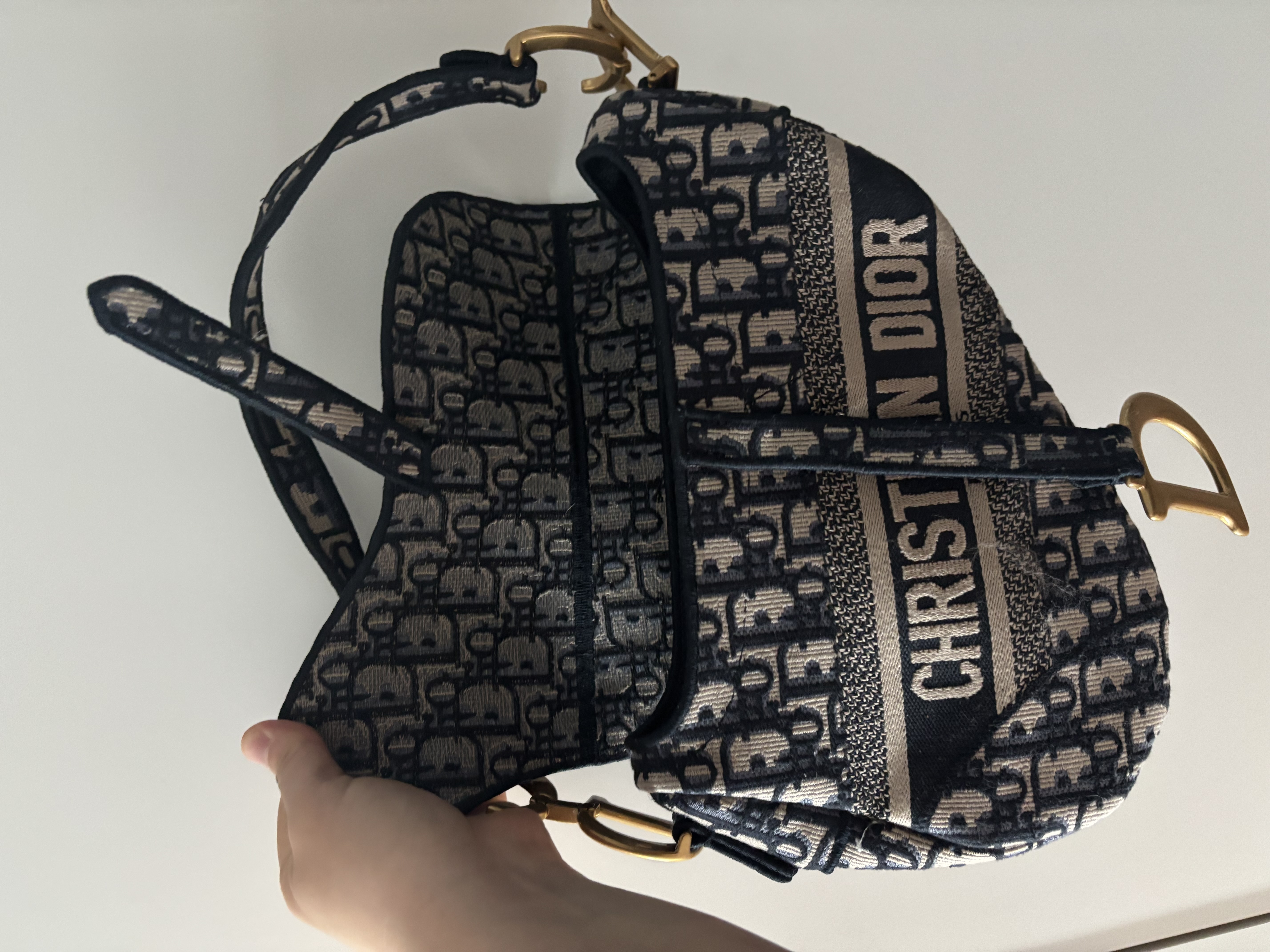 디올 오블리크 새들백