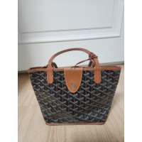 고야드미니앙주